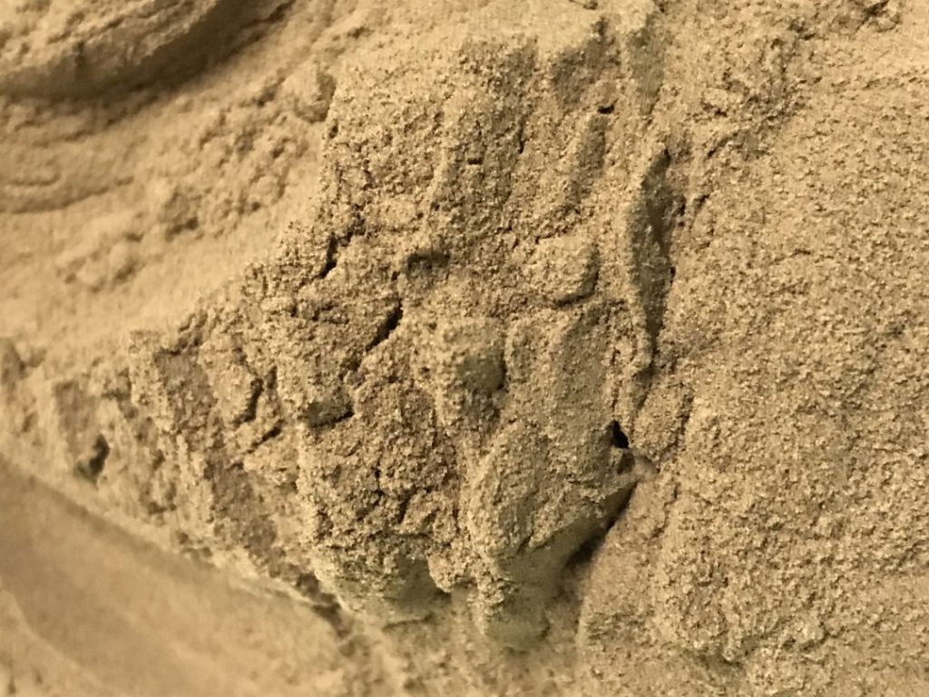 Aloe Vera Leaf Latex Extract Powder Customised Health