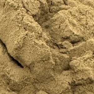 Sargassum Seaweed 25:1 Extract Powder - Hai Zao