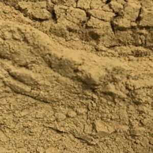 Aloe Ferox Extract Powder